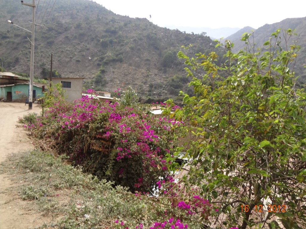 Foto de Samne (La Libertad), Perú