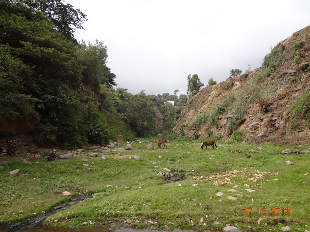 Foto: Se respira tranquilidad - Samne (La Libertad), Perú
