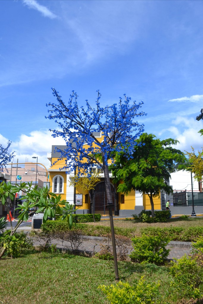 Foto: Parque Juan Santamaria - Alajuela, Costa Rica