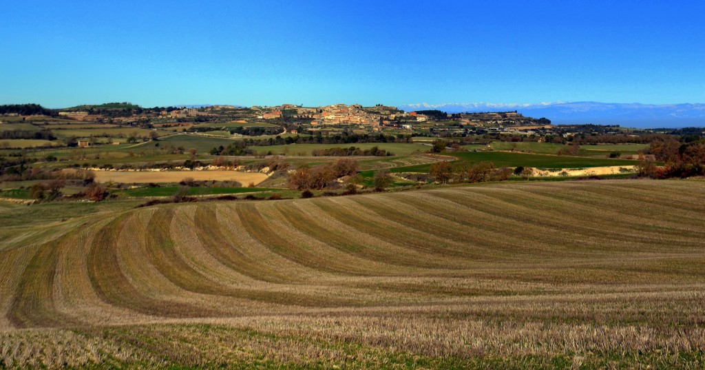 Foto: Paisaje - Talavera (Lleida), España