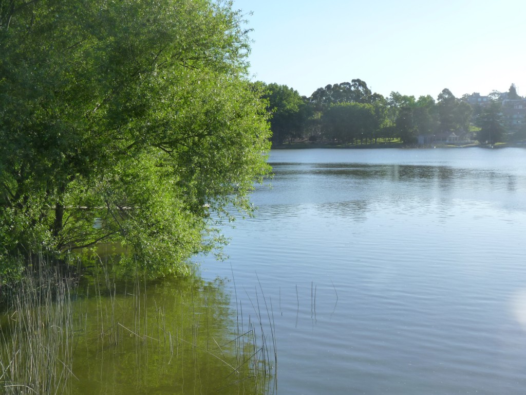 Foto: Parque Independencia. Lago del Fuerte. - Tandil (Buenos Aires), Argentina