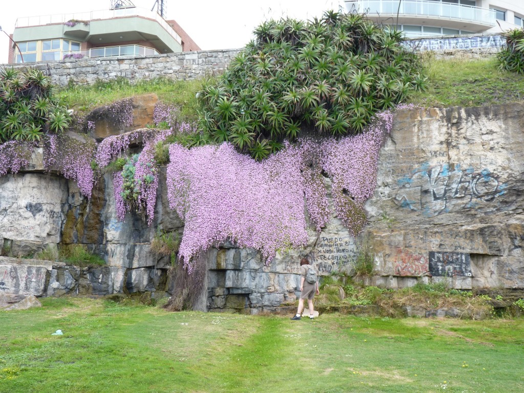 Foto de Mar del Plata (Buenos Aires), Argentina