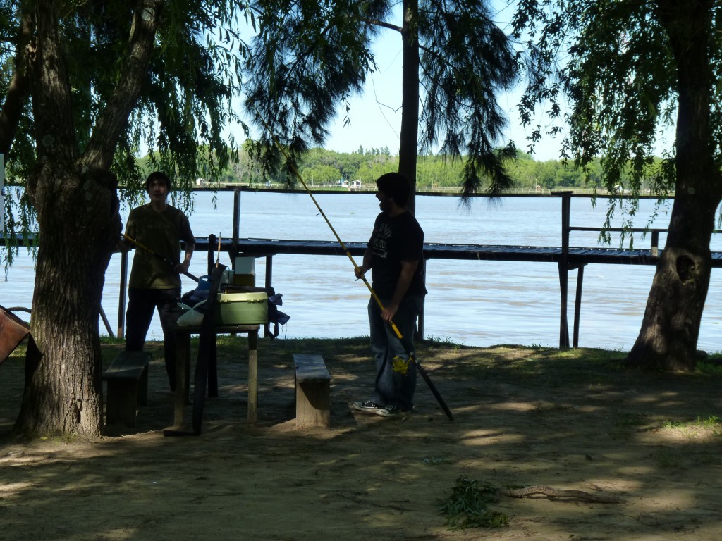 Foto: Cámping La Torre. - Paraná Guazú (Entre Ríos), Argentina