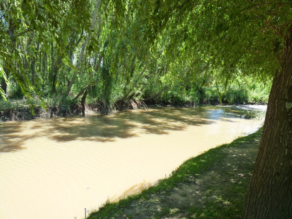 Foto: Camping La Torre - Paraná Guazú (Entre Ríos), Argentina