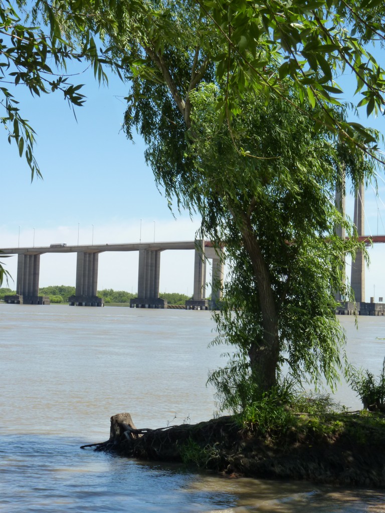 Foto: Camping La Torre - Paraná Guazú (Entre Ríos), Argentina