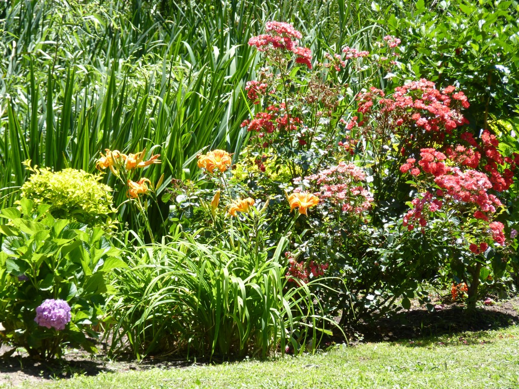 Foto de Paraná Guazú (Entre Ríos), Argentina