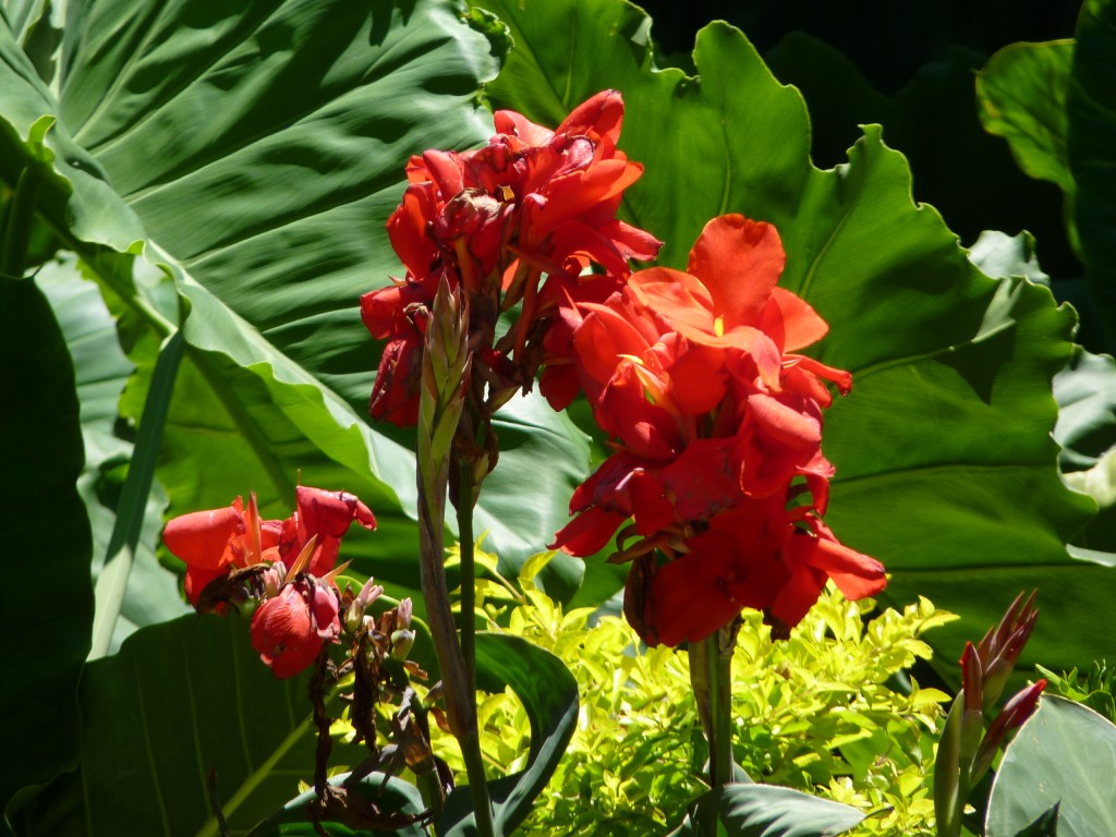 Foto de Paraná Guazú (Entre Ríos), Argentina