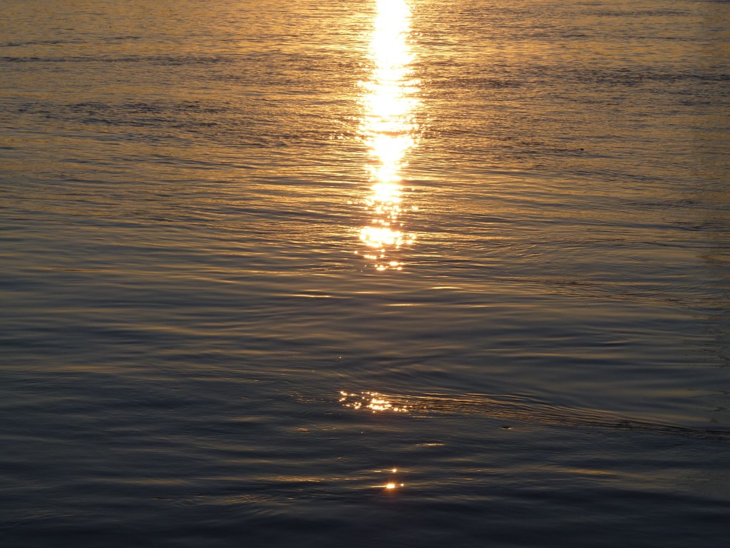 Foto: Camping La Torre - Paraná Guazú (Entre Ríos), Argentina