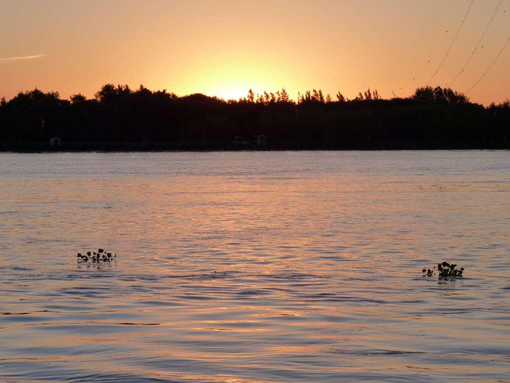 Foto: Paraná Guazú - Paraná Guazú (Entre Ríos), Argentina