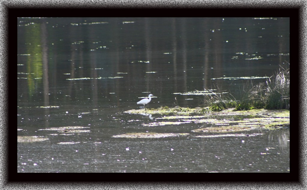 Foto de Navia (Asturias), España