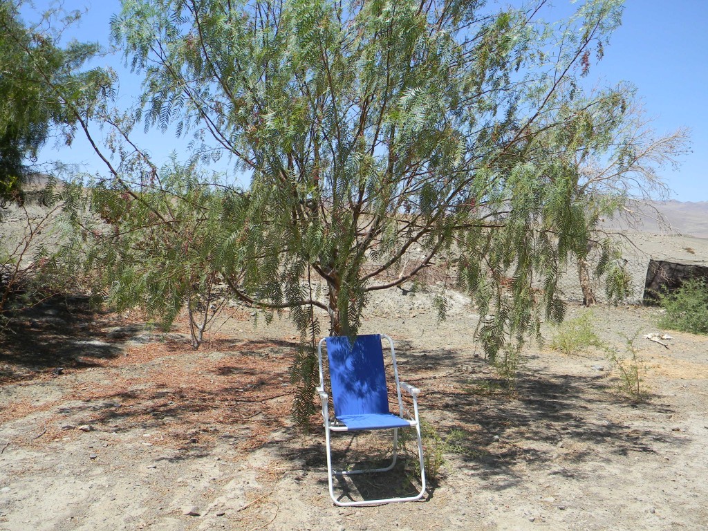 Foto: Silla - Inca De Oro (Atacama), Chile