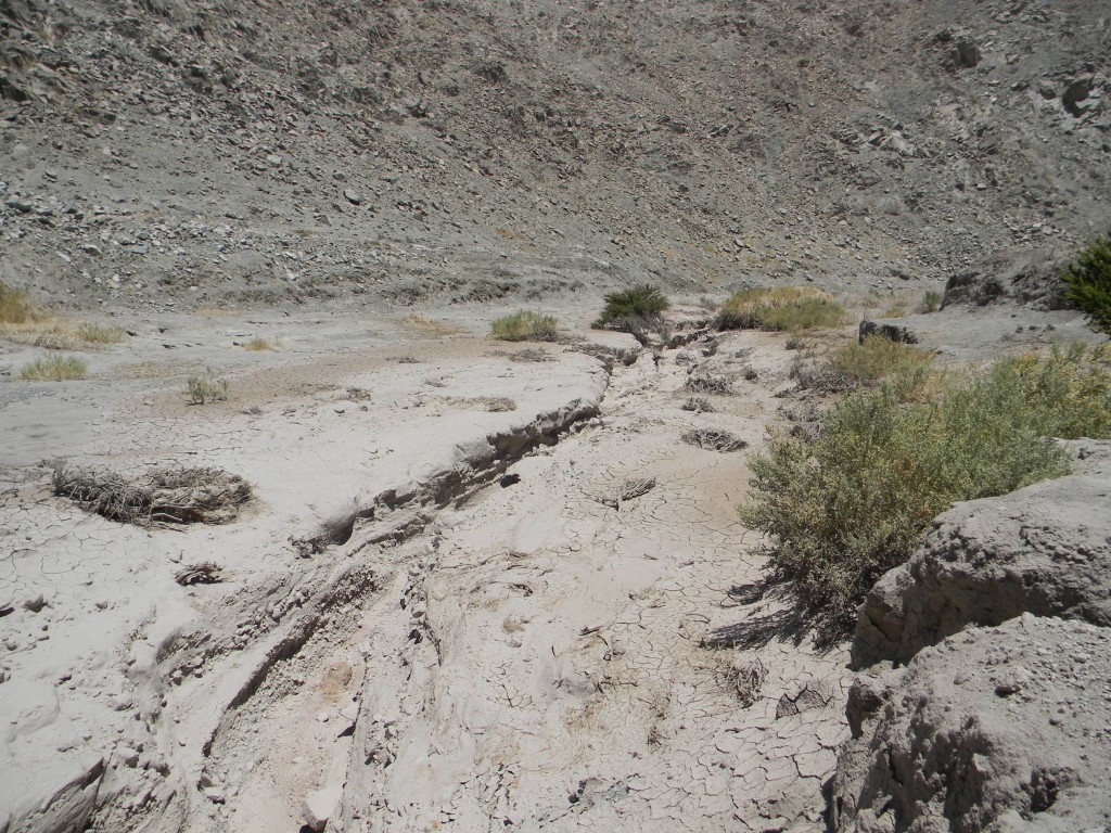 Foto: Finca De Chañaral - Inca De Oro (Atacama), Chile