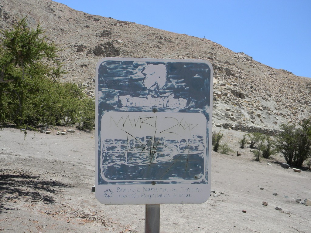 Foto: Finca De Chañaral - Inca De Oro (Atacama), Chile