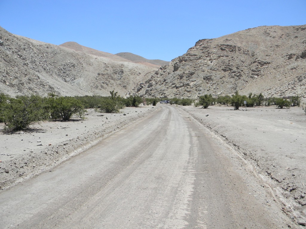 Foto de Inca De Oro (Atacama), Chile