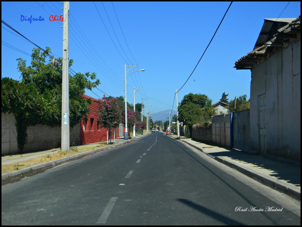 Foto de Olivar (Libertador General Bernardo OʼHiggins), Chile