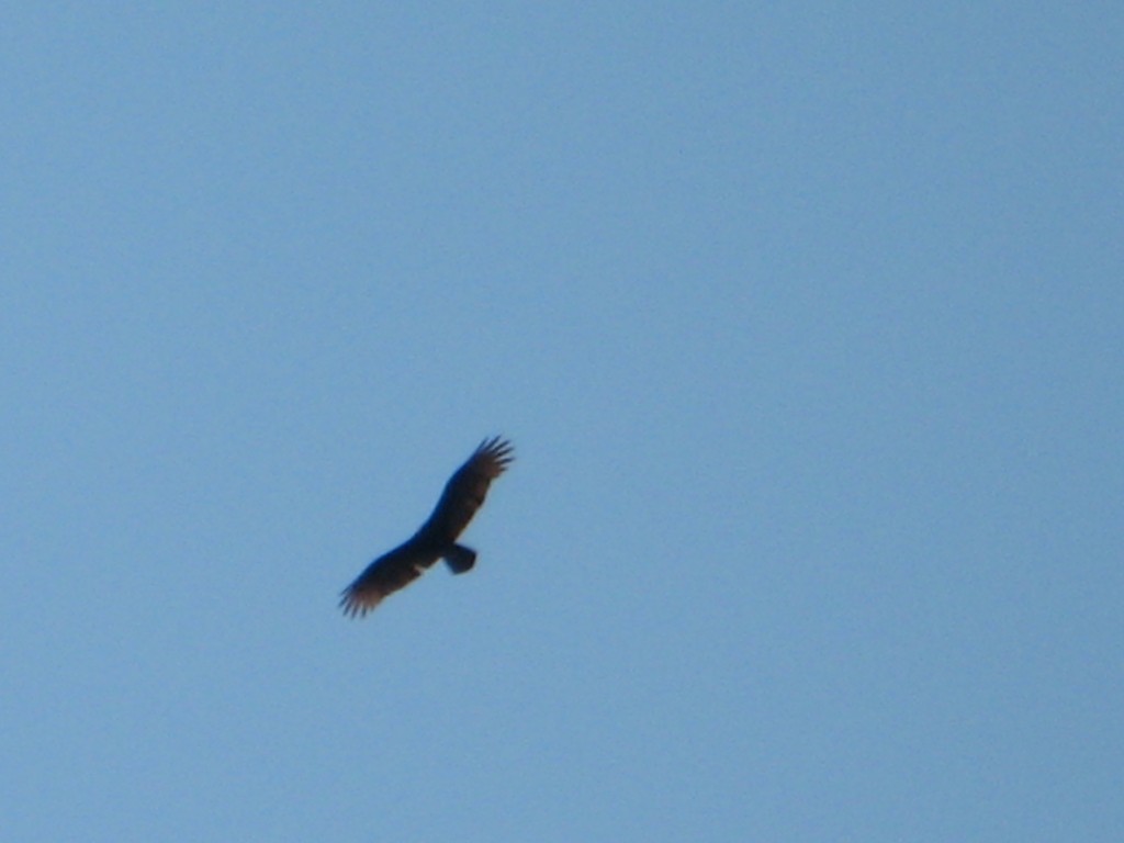 Foto de Tapachula (Chiapas), México