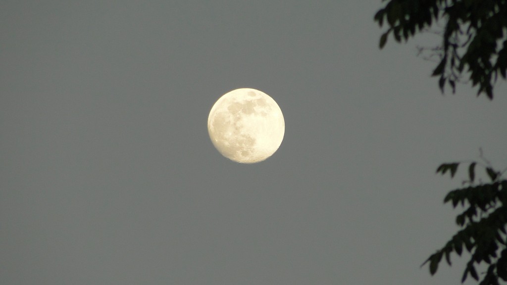 Foto: Birmania - Upala (Alajuela), Costa Rica