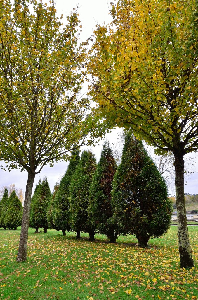 Foto de El Burgo (A Coruña), España
