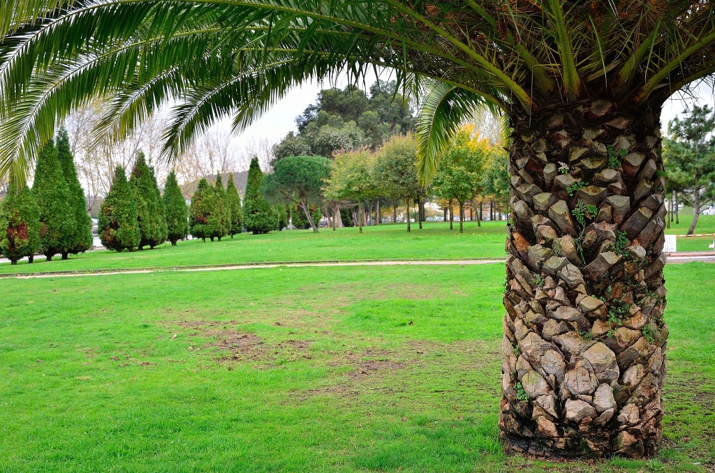 Foto de El Burgo (A Coruña), España