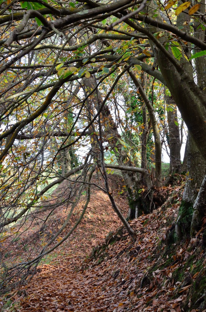 Foto de Oleiros (A Coruña), España