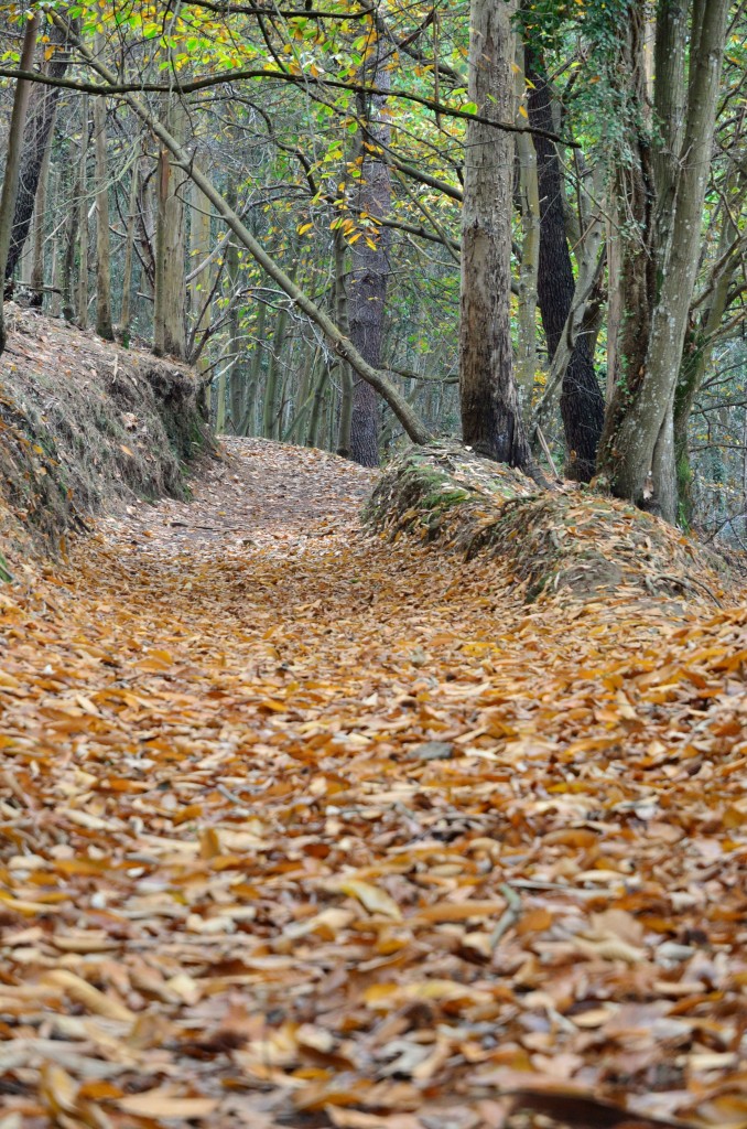 Foto de Oleiros (A Coruña), España