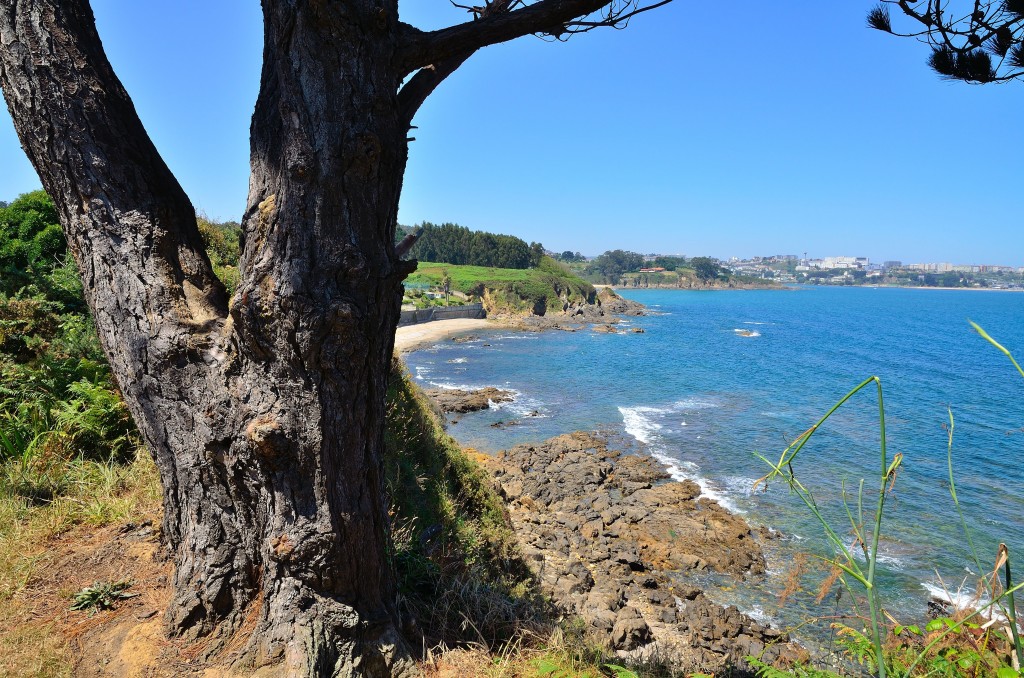 Foto de Santa Cruz (A Coruña), España