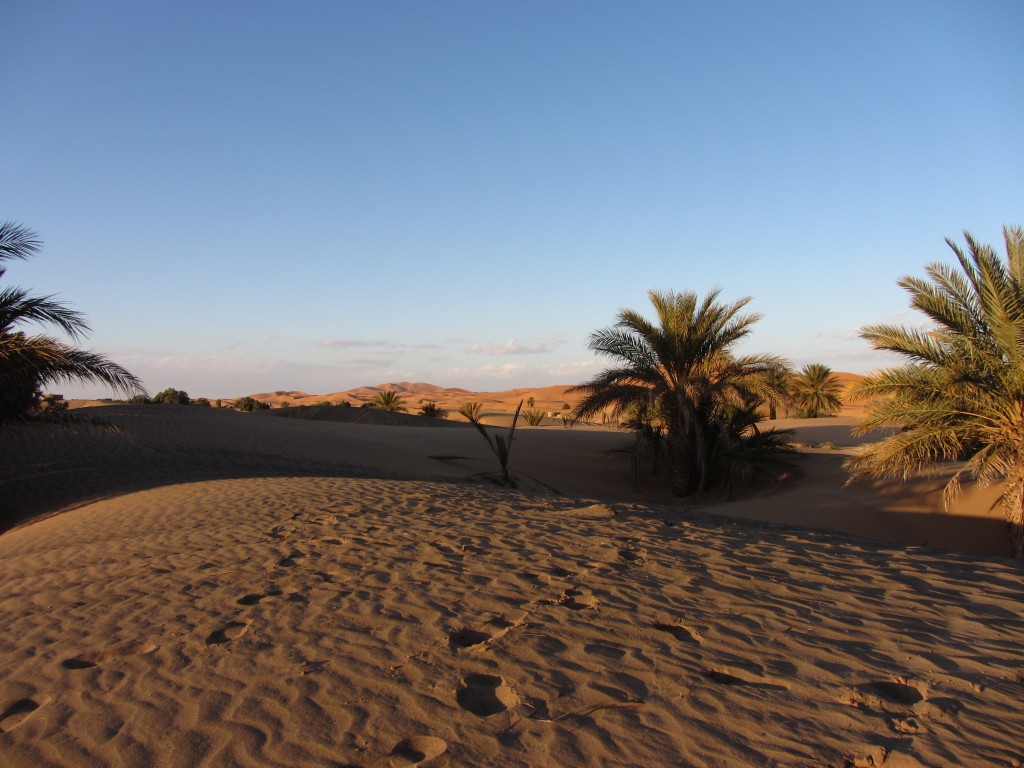 Foto: Dunas cercanas - Merzouga, Marruecos