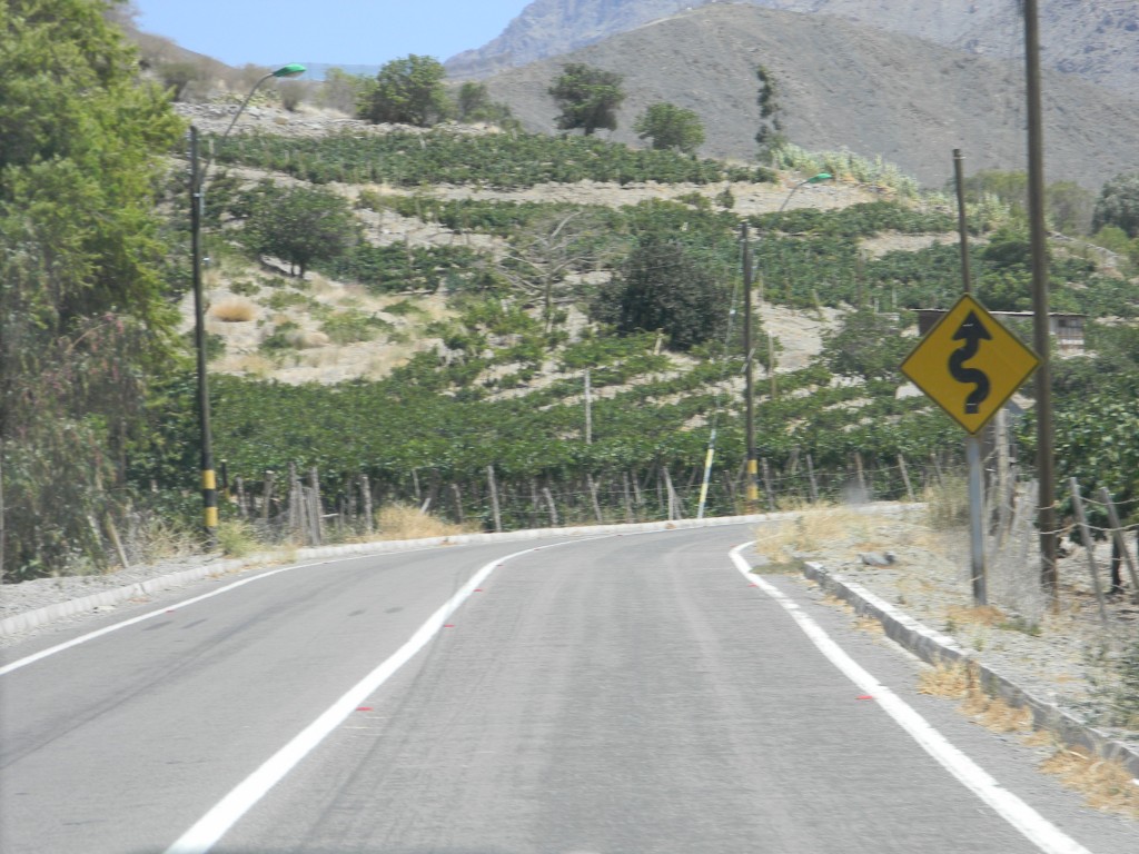 Foto: Paisaje - San Felix (Atacama), Chile
