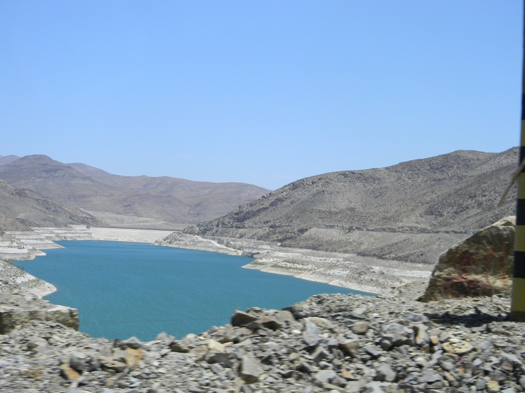 Foto: Vida - San Felix (Atacama), Chile