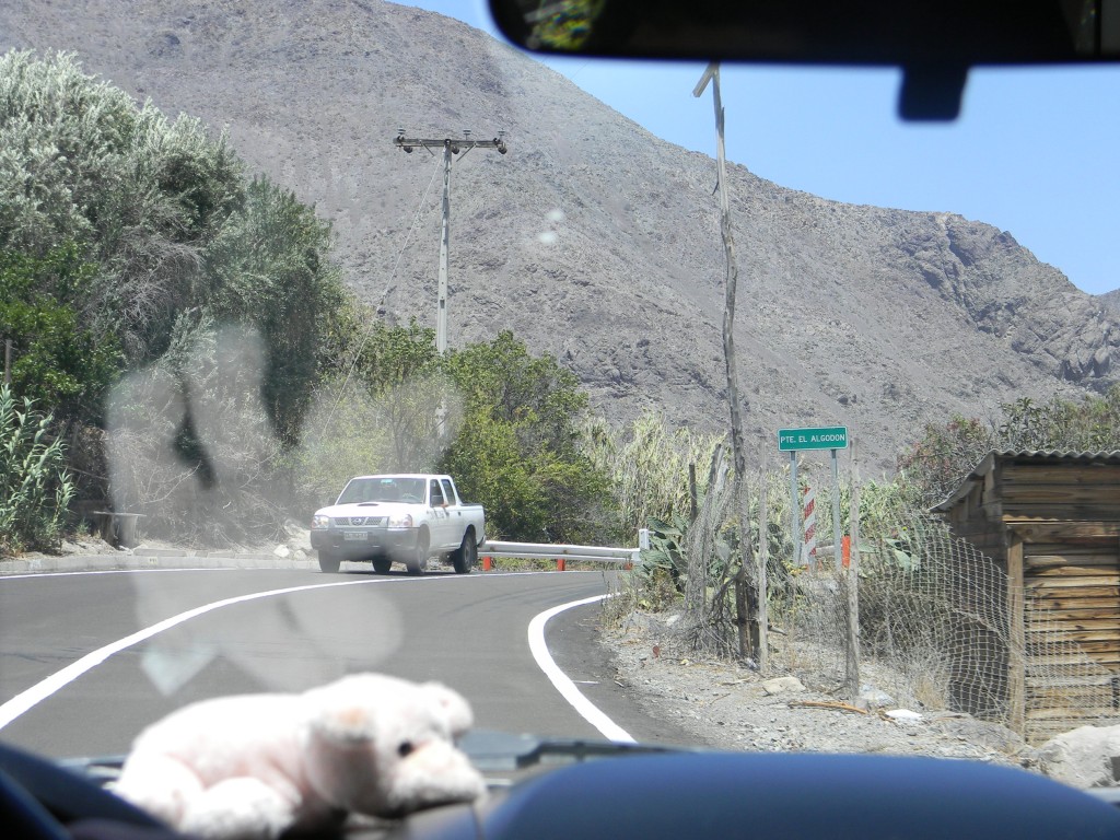 Foto: Paisaje - San Felix (Atacama), Chile
