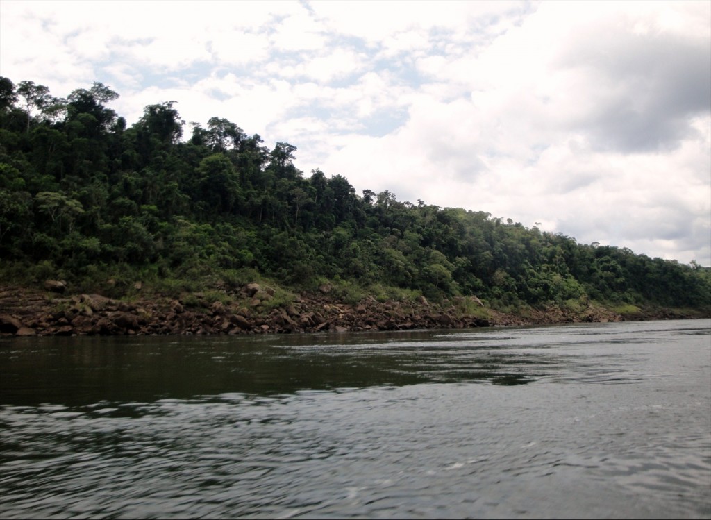 Foto: Safari Macuco - Puerto Iguazú (Misiones), Argentina