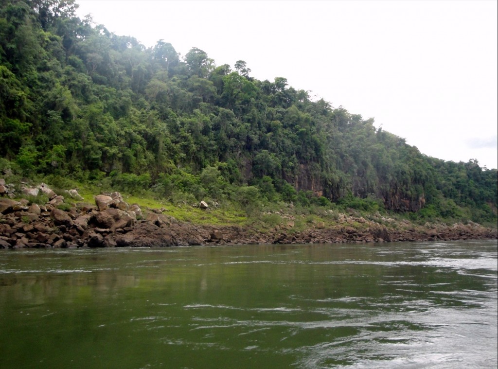 Foto: Safari Macuco - Puerto Iguazú (Misiones), Argentina