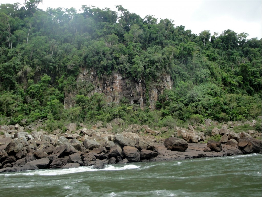 Foto: Safari Macuco - Puerto Iguazú (Misiones), Argentina