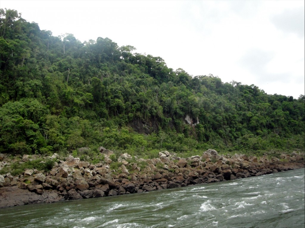 Foto: Safari Macuco - Puerto Iguazú (Misiones), Argentina
