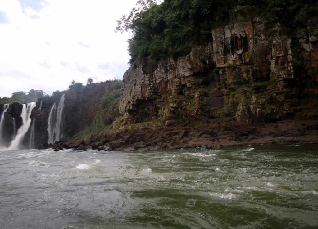 Foto: Safari Macuco - Puerto Iguazú (Misiones), Argentina