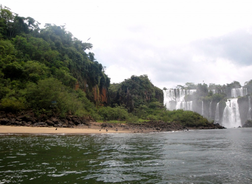 Foto: Safari Macuco - Puerto Iguazú (Misiones), Argentina