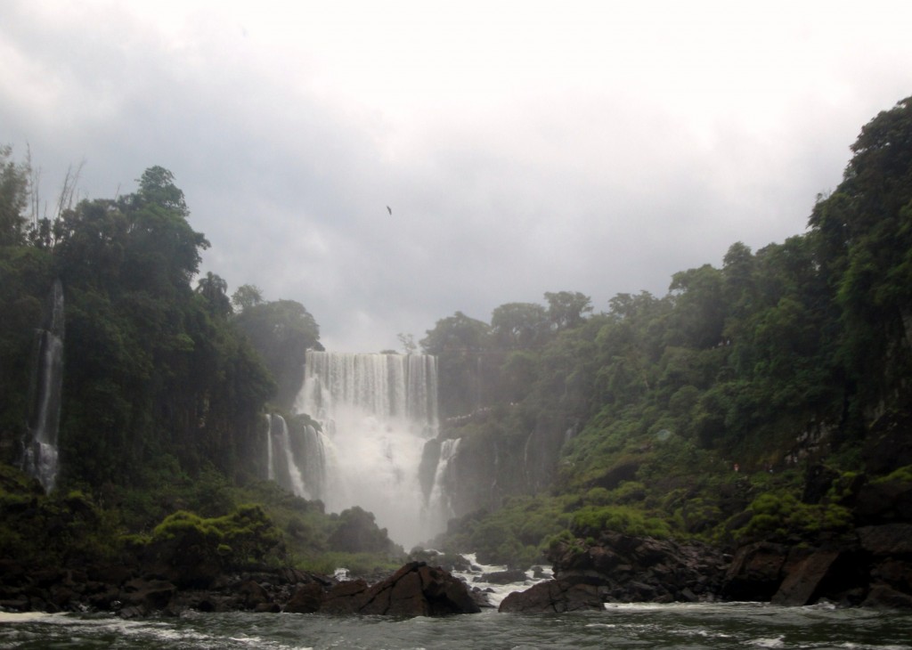 Foto: Safari Macuco - Puerto Iguazú (Misiones), Argentina