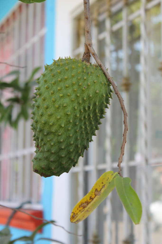 Foto de Tapachula (Chiapas), México