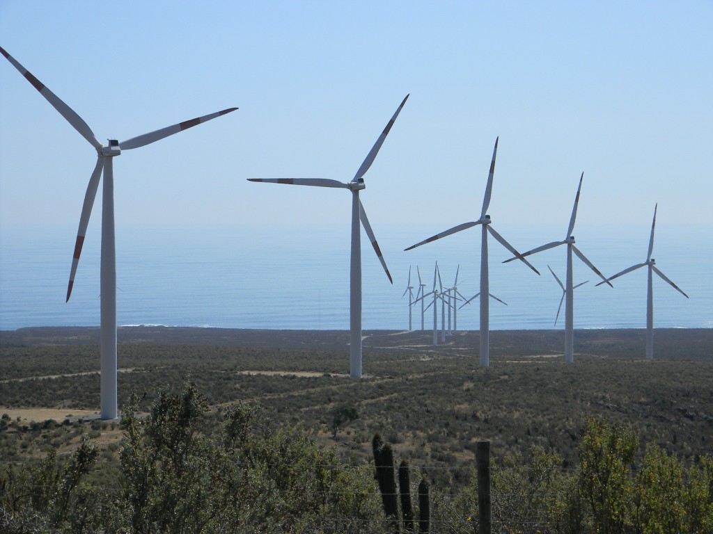 Foto: PARQUE EOLICO - Canela (Coquimbo), Chile