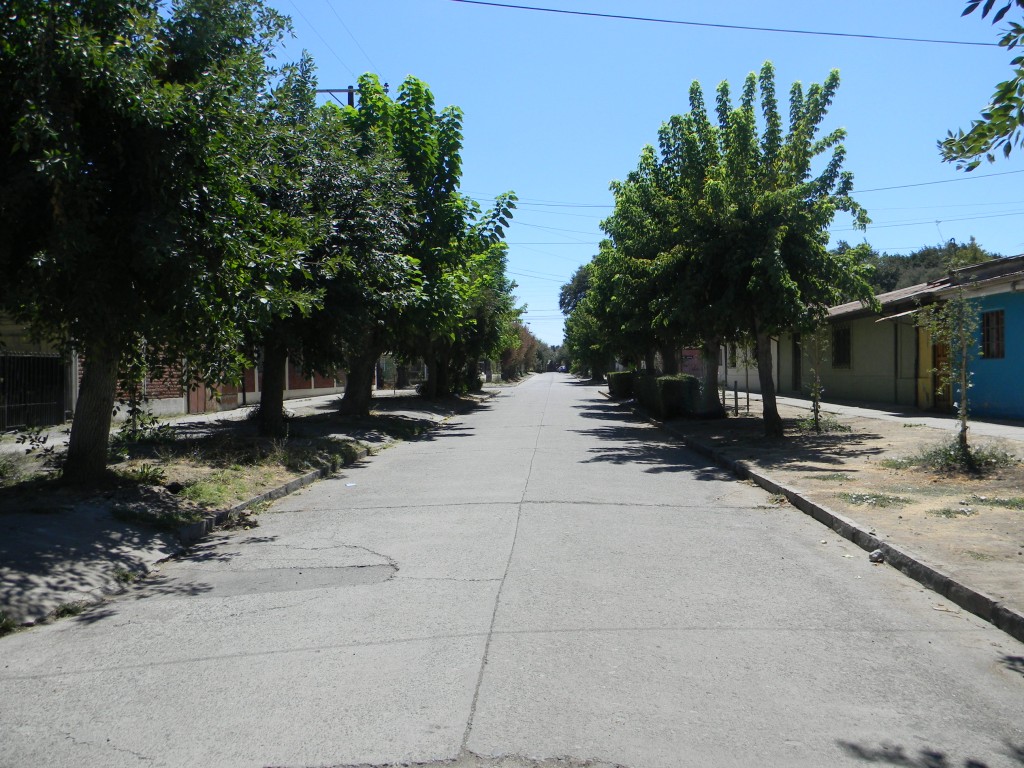 Foto: CALLE - Rengo (Libertador General Bernardo OʼHiggins), Chile