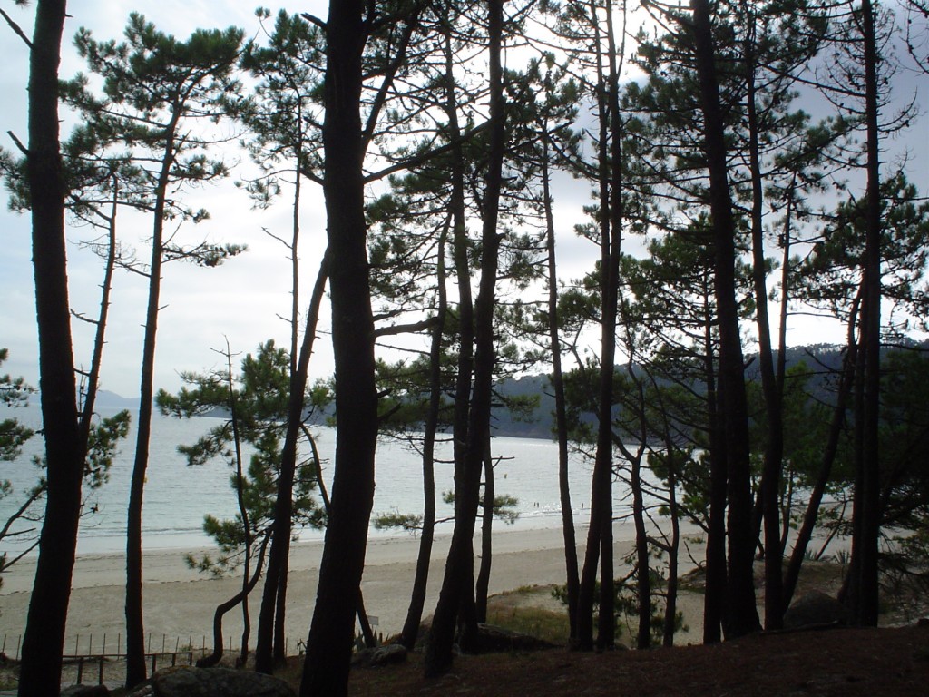 Foto: playa de barra - Cangas (Pontevedra), España