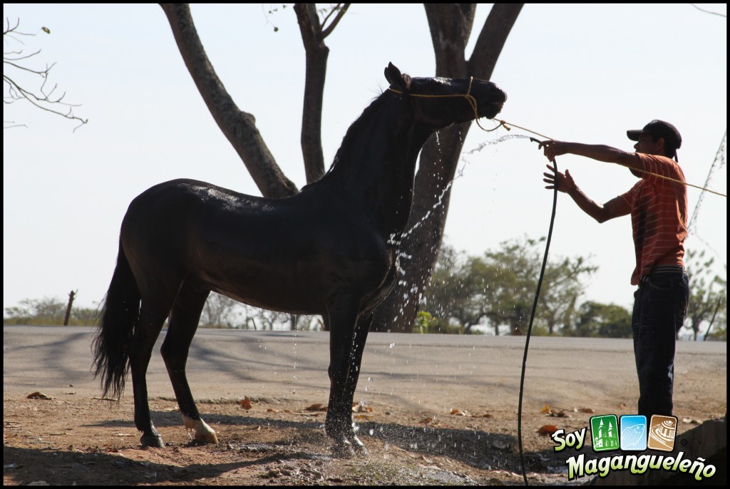 Foto: Aguita para el Calor - Magangué (Bolívar), Colombia