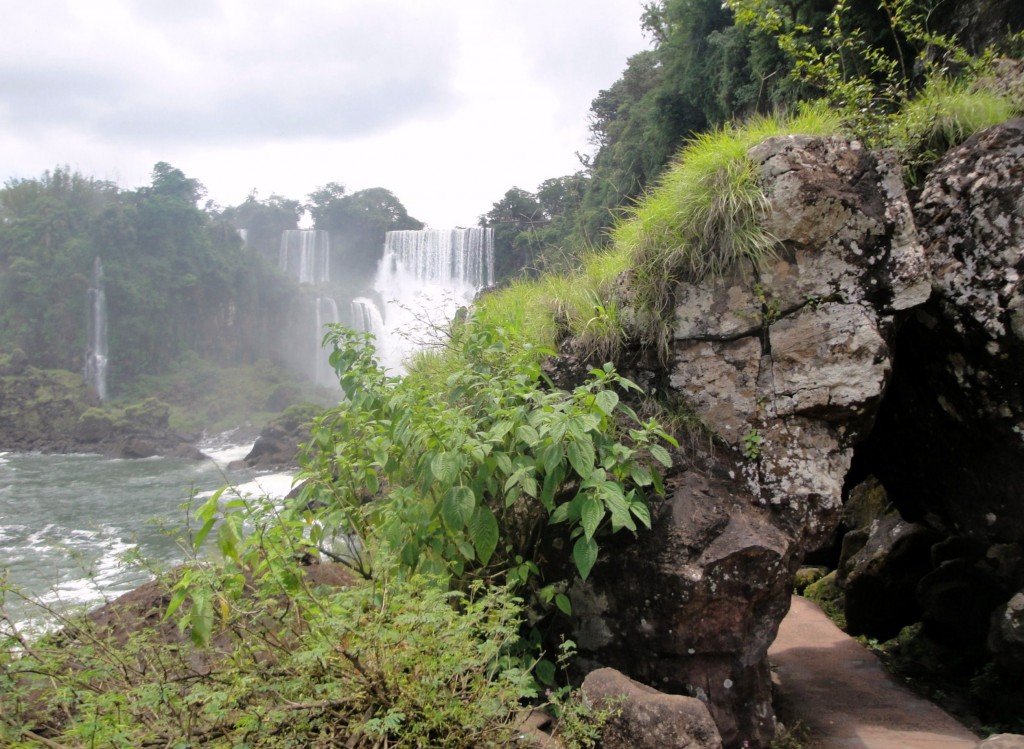 Foto: Circuito Inferior - Puerto Iguazú (Misiones), Argentina