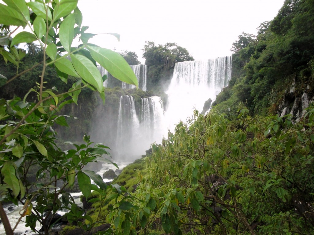 Foto: Circuito Inferior - Puerto Iguazú (Misiones), Argentina