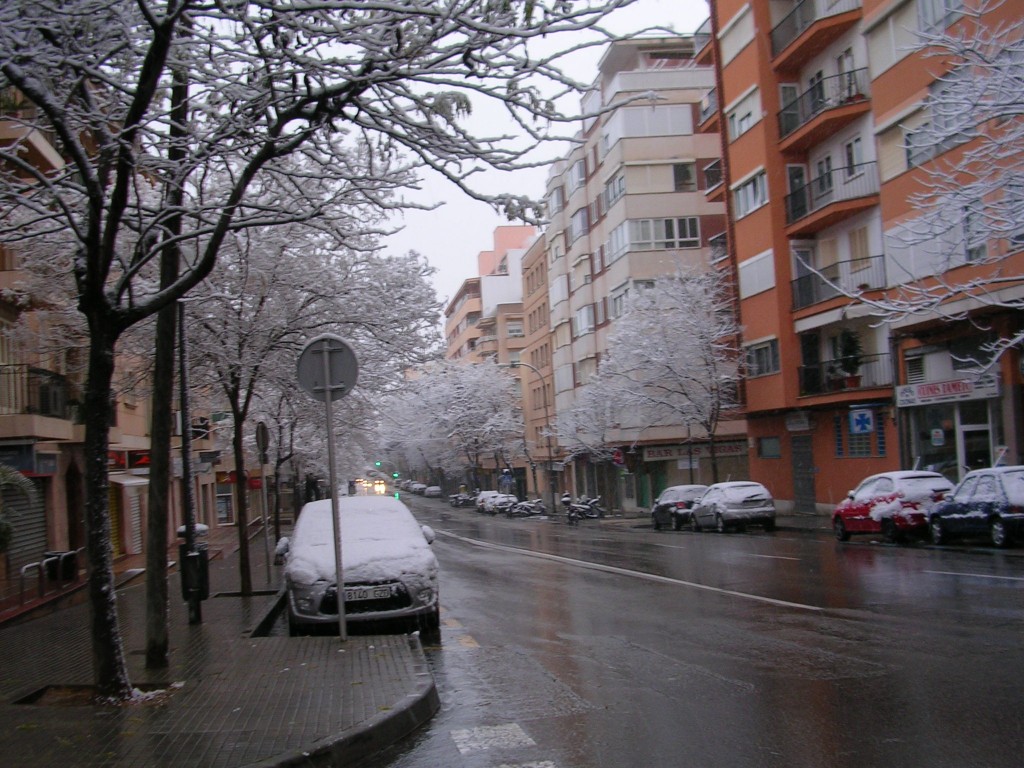 Foto: calle de san fernando - Palma De Mallorca (Illes Balears), España