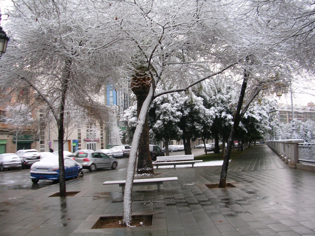 Foto: PASEO MALLORCA - Palma De Mallorca (Illes Balears), España