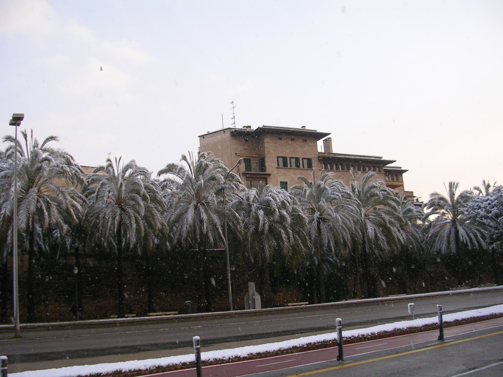 Foto: PASEO MARITIMO - Palma De Mallorca (Illes Balears), España