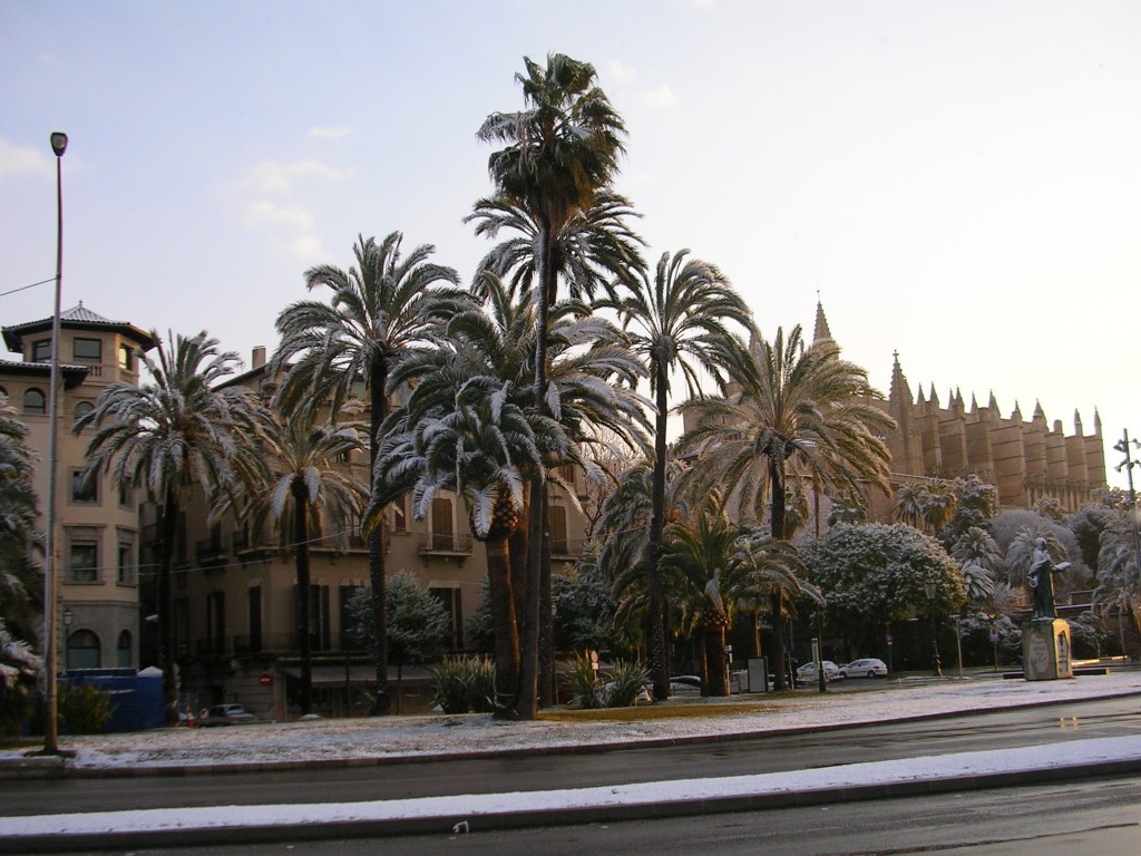 Foto: AL FONDO LA CATEDRAL - Palma De Mallorca (Illes Balears), España