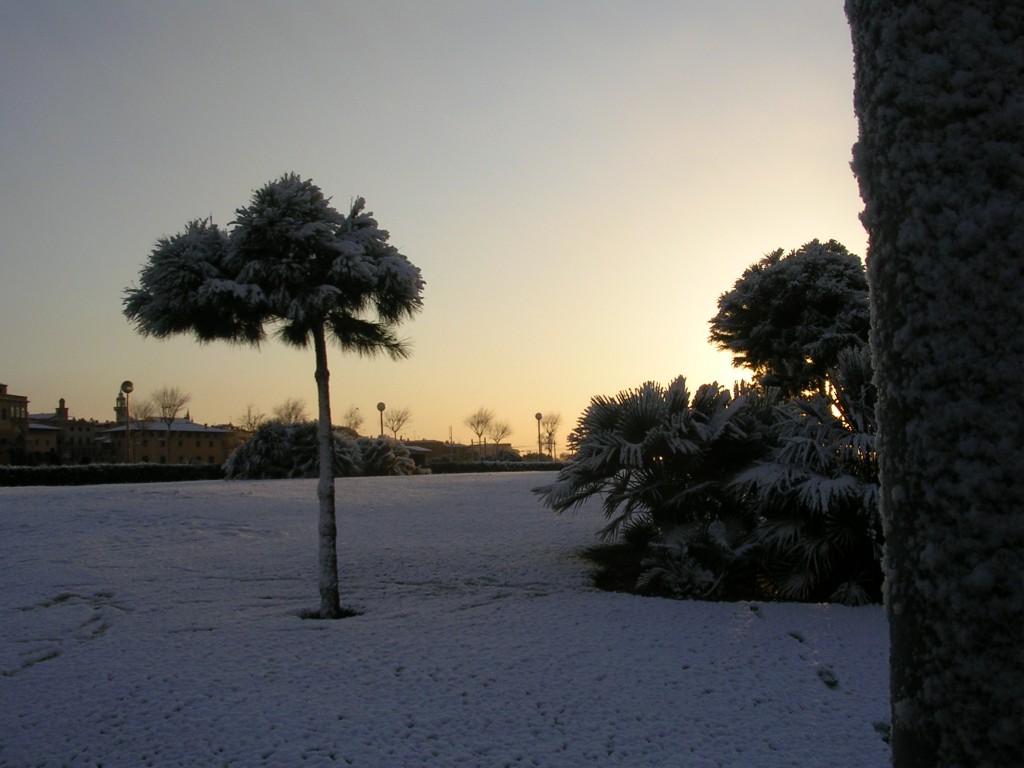 Foto de Palma De Mallorca (Illes Balears), España