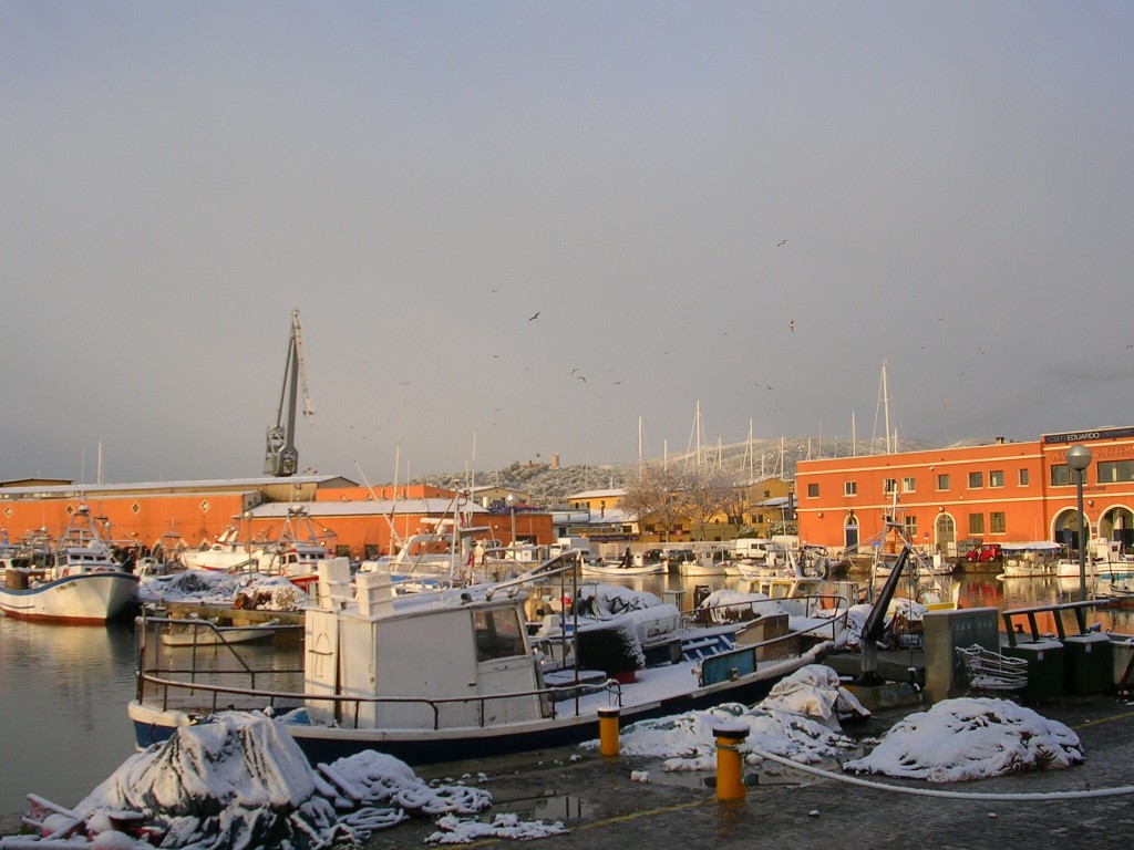 Foto de Palma De Mallorca (Illes Balears), España